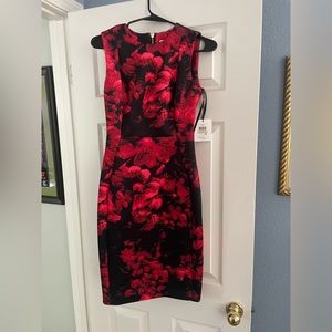 CALVIN KLEIN RED & BLACK DRESS (SIZE 2)